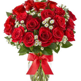 Luxury Red Roses - 18 Roses
