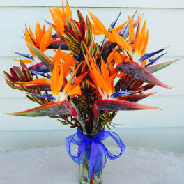 Tall bouquet of orange and purple tropical flowers in a glass vase with a blue ribbon.