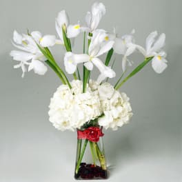 White iris and hydrangea arrangement in a clear square vase with red ribbon