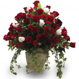 Red and white roses arranged in a decorative vase