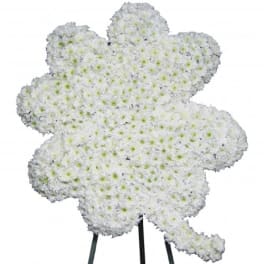 White chrysanthemum arrangement shaped like a maple leaf