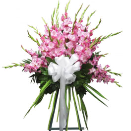 Pink gladiolus bouquet with a white ribbon bow
