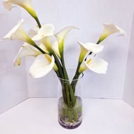 White calla lilies in a clear glass vase