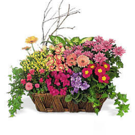Mixed flower basket with pink, yellow, and purple blooms