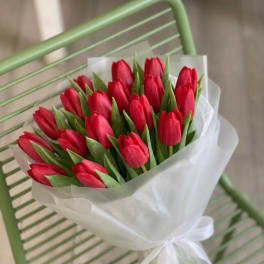 Bouquet of red tulips wrapped in white paper with a ribbon