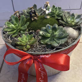 Succulent arrangement in a round tin box with a red ribbon
