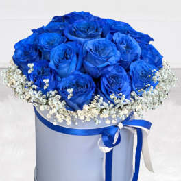 Blue roses in a round hat box with white baby's breath and ribbon