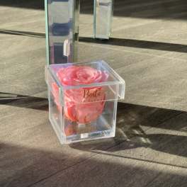 Pink rose in a clear acrylic box with a matching tall acrylic stand