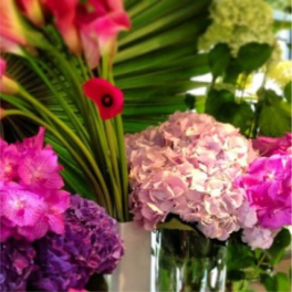 Pink calla lilies and hydrangeas in glass vases