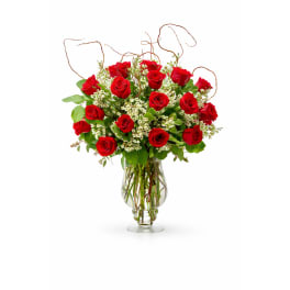Tall arrangement of long-stemmed red roses with white filler flowers in a clear glass vase