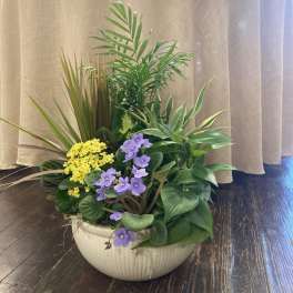 Potted arrangement with purple and yellow flowers in a white bowl planter