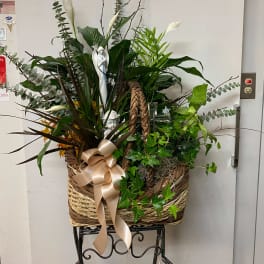 Basket arrangement with white calla lilies, greenery, and a satin bow
