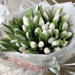 Bouquet of white tulips wrapped in clear plastic