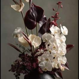 Tall floral arrangement with white orchids and dark burgundy anthuriums in a black vase