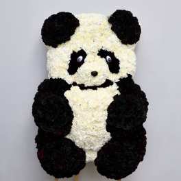 Panda Bear Funeral