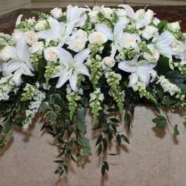 Ivy Stargazer Casket