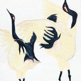 Watercolor painting of two white cranes with black necks and red facial markings