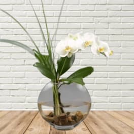 White orchid stems in a round glass vase with stones