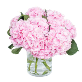 Light Pink Hydrangea Bouquet