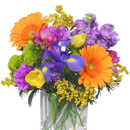 Colorful bouquet of gerbera daisies, irises, and tulips in a clear glass vase
