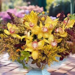 Yellow orchids arranged in a low white pedestal container