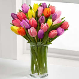 Bouquet of multicolored tulips in a clear glass vase