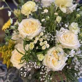 Cream roses and small white filler flowers in a loose bouquet