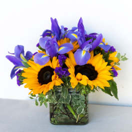 Sunflowers and purple irises in a square glass vase