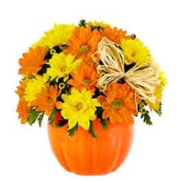 Orange and yellow daisy chrysanthemums in a pumpkin-shaped orange container with raffia bow