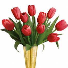 Red tulips arranged in a tall gold vase