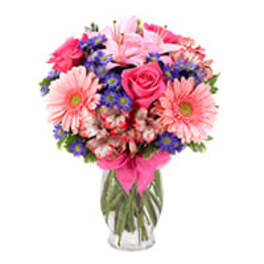 Tall glass vase with pink gerbera daisies, lilies, roses, and purple asters tied with a pink ribbon