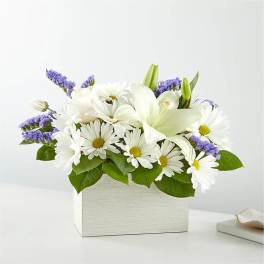 White daisies and lilies in a white box with purple accents