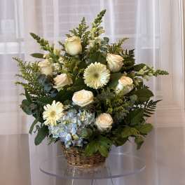 Basket arrangement of cream roses, white gerberas, and blue hydrangea