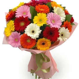 Bouquet of multicolored gerbera daisies wrapped in pink paper