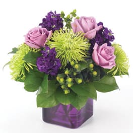Compact arrangement of lavender roses, green spider mums, and purple flowers in a purple cube vase