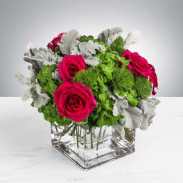 Compact arrangement of hot pink roses and green accents in a clear glass cube vase with silver foliage.