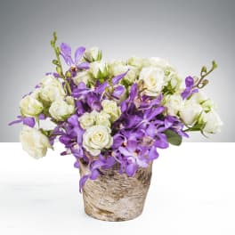 Compact arrangement of white spray roses and purple orchids in a rustic birch pot
