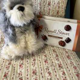 Plush dog toy beside a box of Russell Stover chocolates