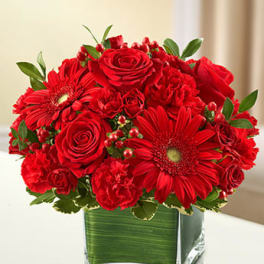 Compact red arrangement of roses, gerbera daisies, and carnations in a square glass vase