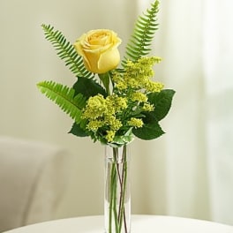 Single yellow rose with yellow filler flowers in a tall clear glass bud vase