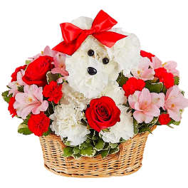 Love Pup Fresh Flower Arrangement