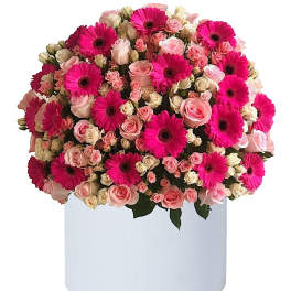 Hot Pink Gerbs and Roses Cylinder Box Arrangement