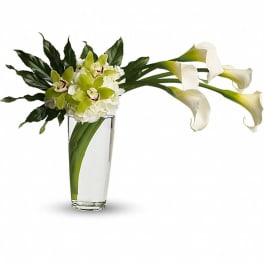 Modern white calla lilies and green orchids in a tall clear glass vase