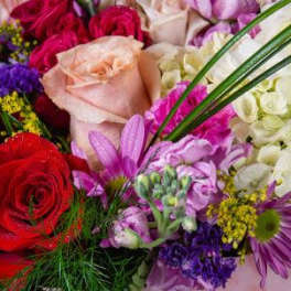 Mixed bouquet of red, pink, purple, and white flowers