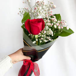 Single red rose bouquet with baby's breath in black wrap and red ribbon
