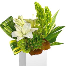 White lilies and green succulents in a white box with striped leaves