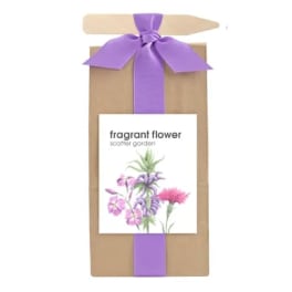 Fragrant Flower Seed Set