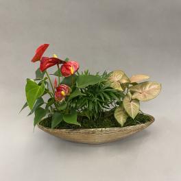 Tropical plant arrangement with red anthuriums in a gold boat-shaped planter