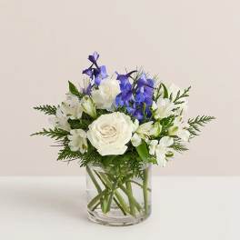 White and blue flowers arranged in a clear glass vase