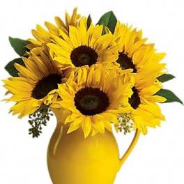 Teleflora's Sunny Day Pitcher of Sunflowers